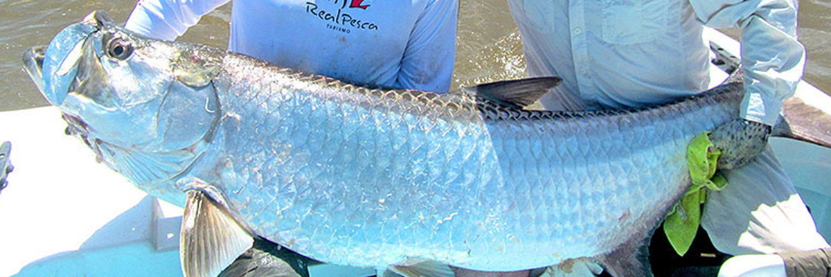 real_pesca_costa_rica_banner_3